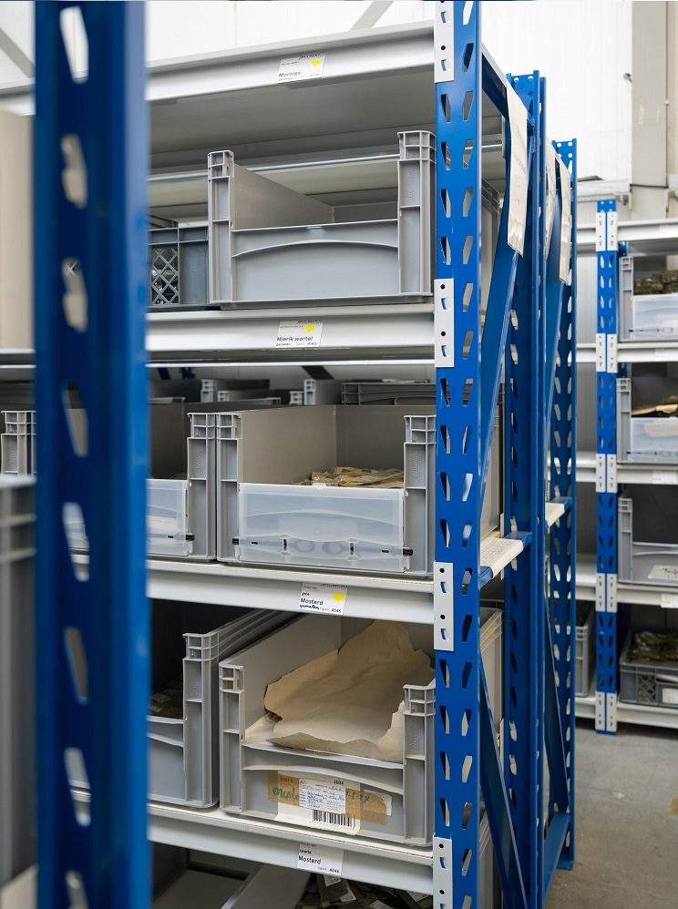 Inspiratieproject stellingen